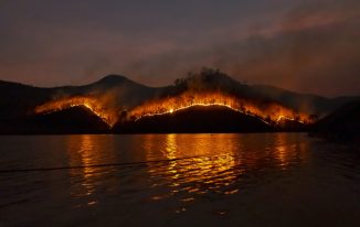 Everything you need to know about wildfires