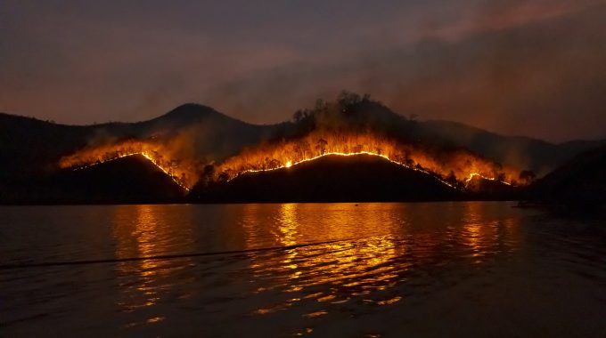 Everything you need to know about wildfires